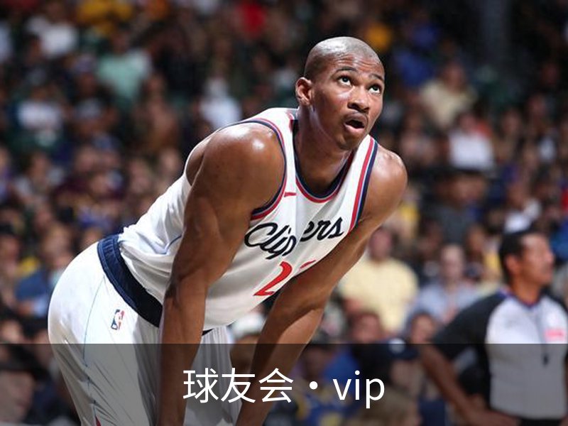 球友会·vip概况